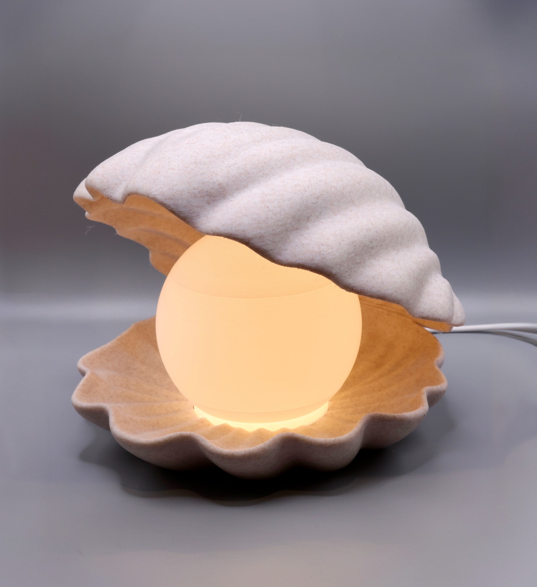 Coastal Shell Lamp
